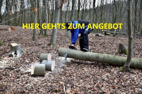 KETTENSÄGE; HOLZBEARBEITUNG 2024