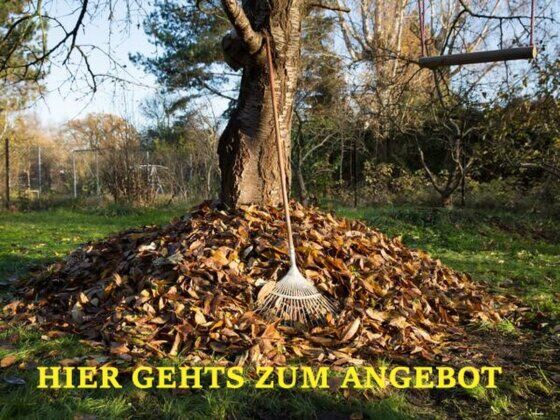Mündler Herbst und Winterangebote