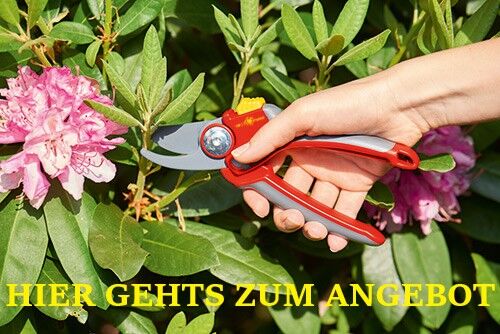 ASTSCHEREN UND SÄGEN
